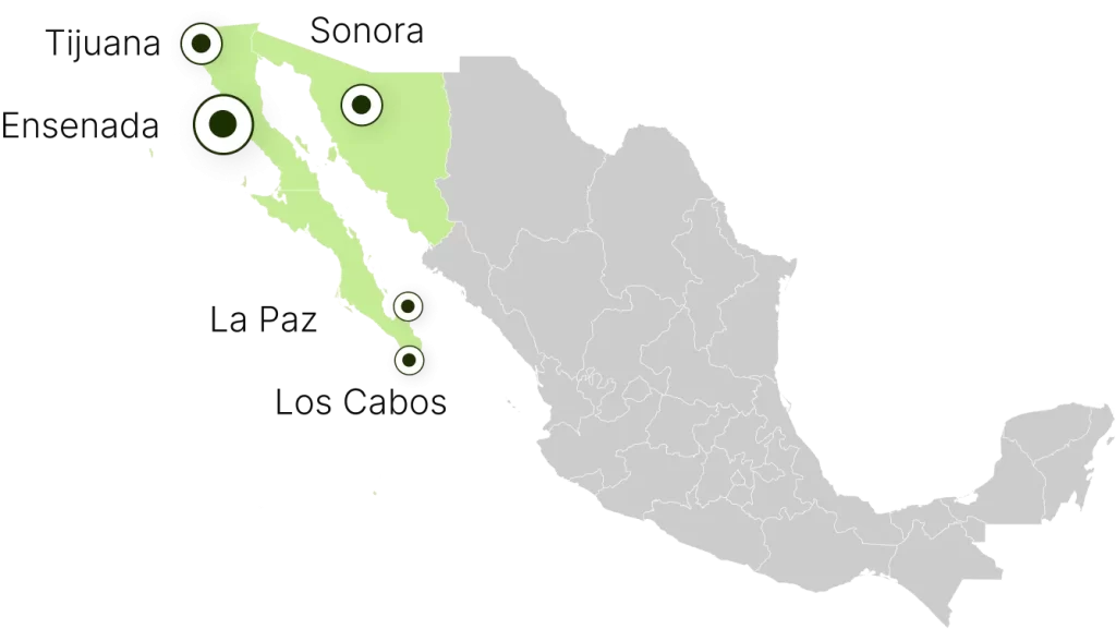 Mapa de México Pacific Netlink